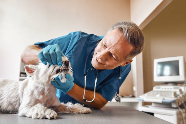 Best Walk-In Emergency Dental Services in Covington, VA
